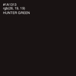 #1A1313 - Hunter Green Color Image